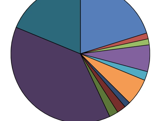 Pie chart of Carson Scholars colleges 2012-2024