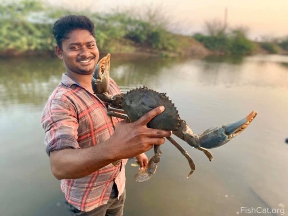 Man posing with a crab he caught
