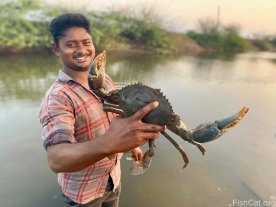 Photo from Ashwin Naidu's field research