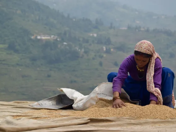 Lady with rice