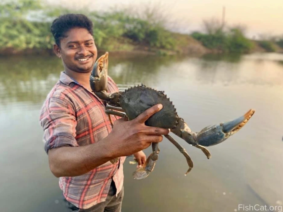 Photo from Ashwin Naidu's field research